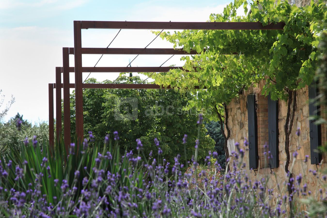 Jardin