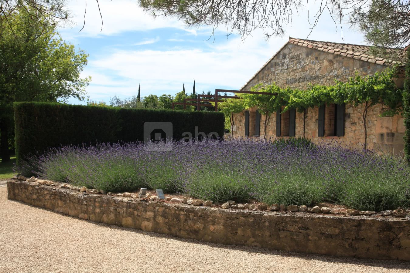 Jardin