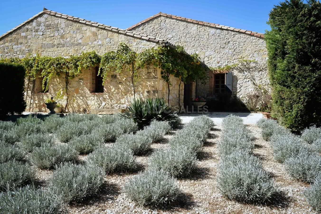 Jardin