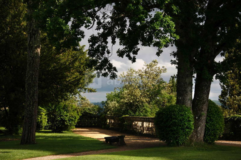 Le parc arboré du château