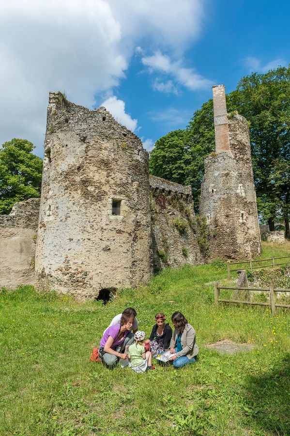 Ruines du château de Joachim du Bellay