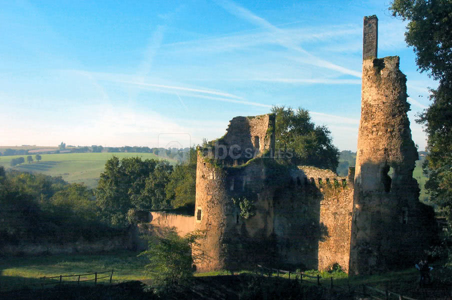 Ruines du château de Joachim du Bellay