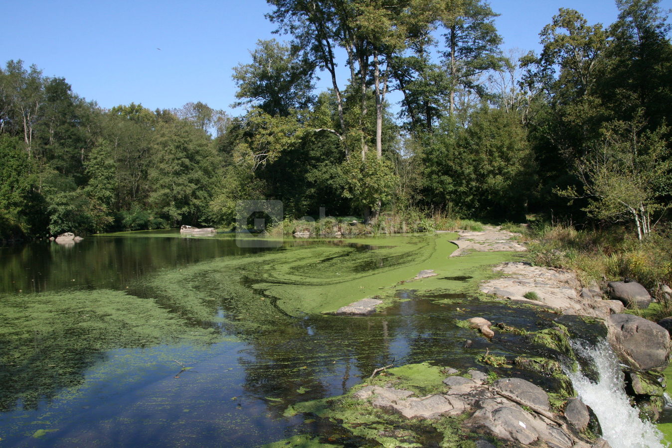 Le Logis de l'Aubonnière