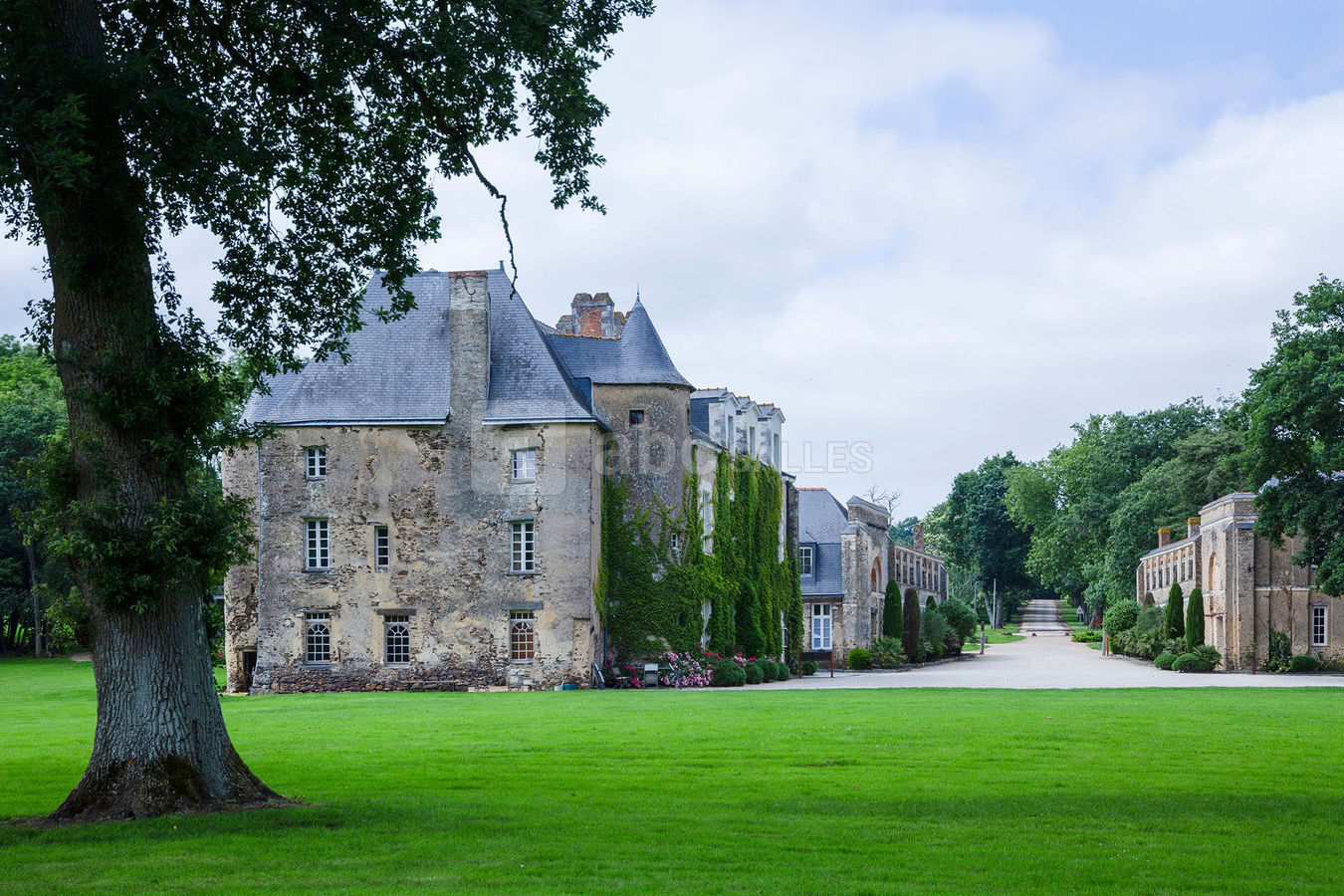 Vue Générale