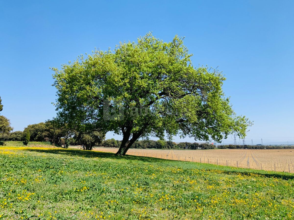 Château Saint Maurice