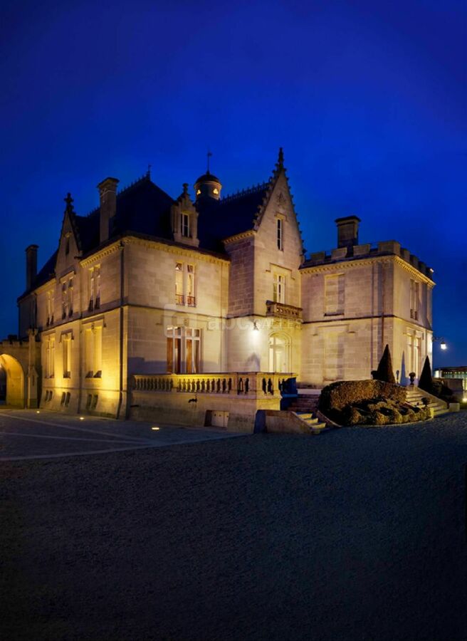Splendeur du château la nuit