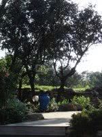 Le Devem du Mirapier