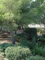 Le Devem du Mirapier