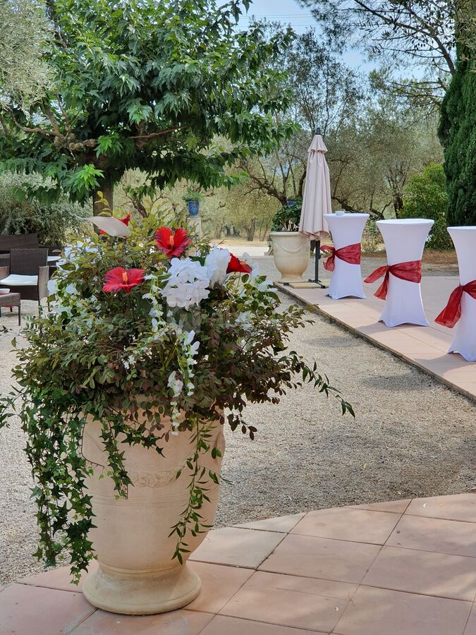 La terrasse