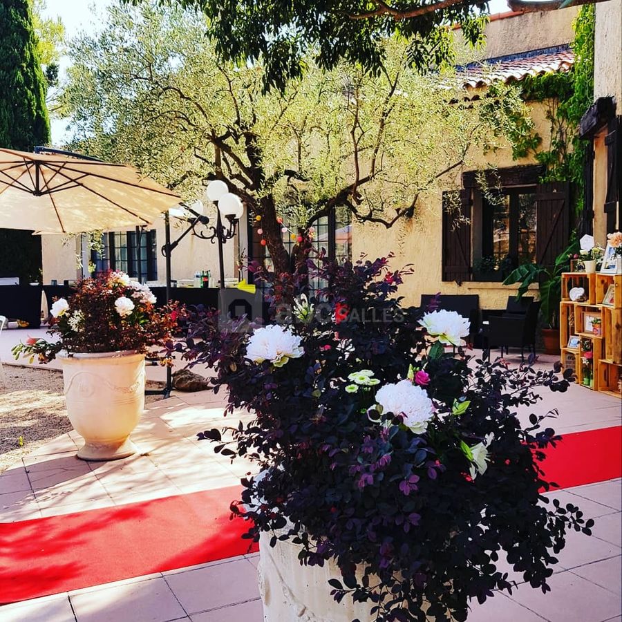 Grande Terrasse