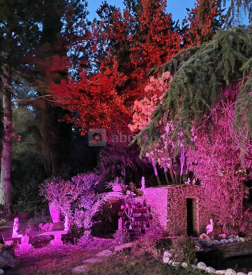 Moulin en lumiere