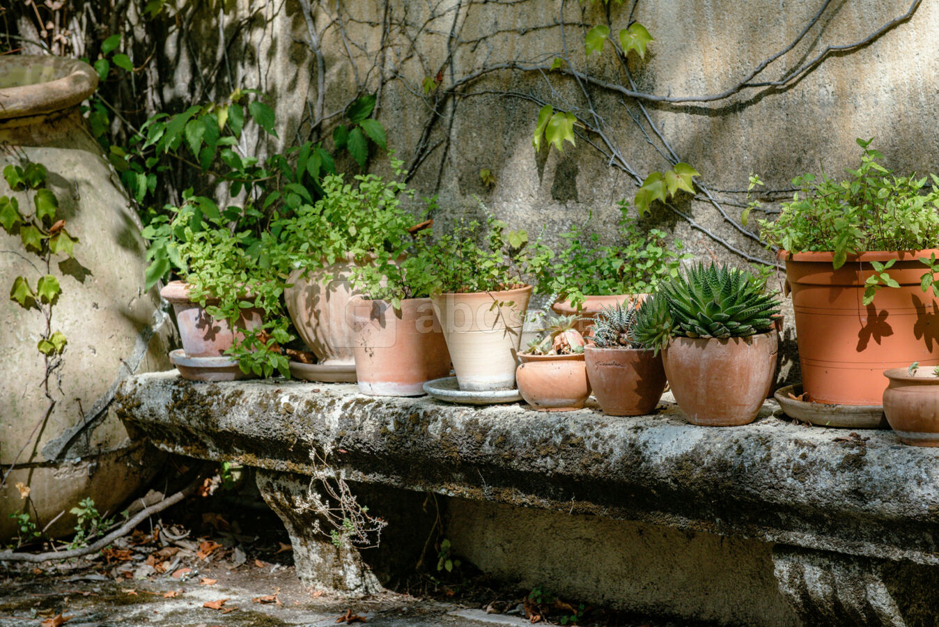 Terrasse Exterieure