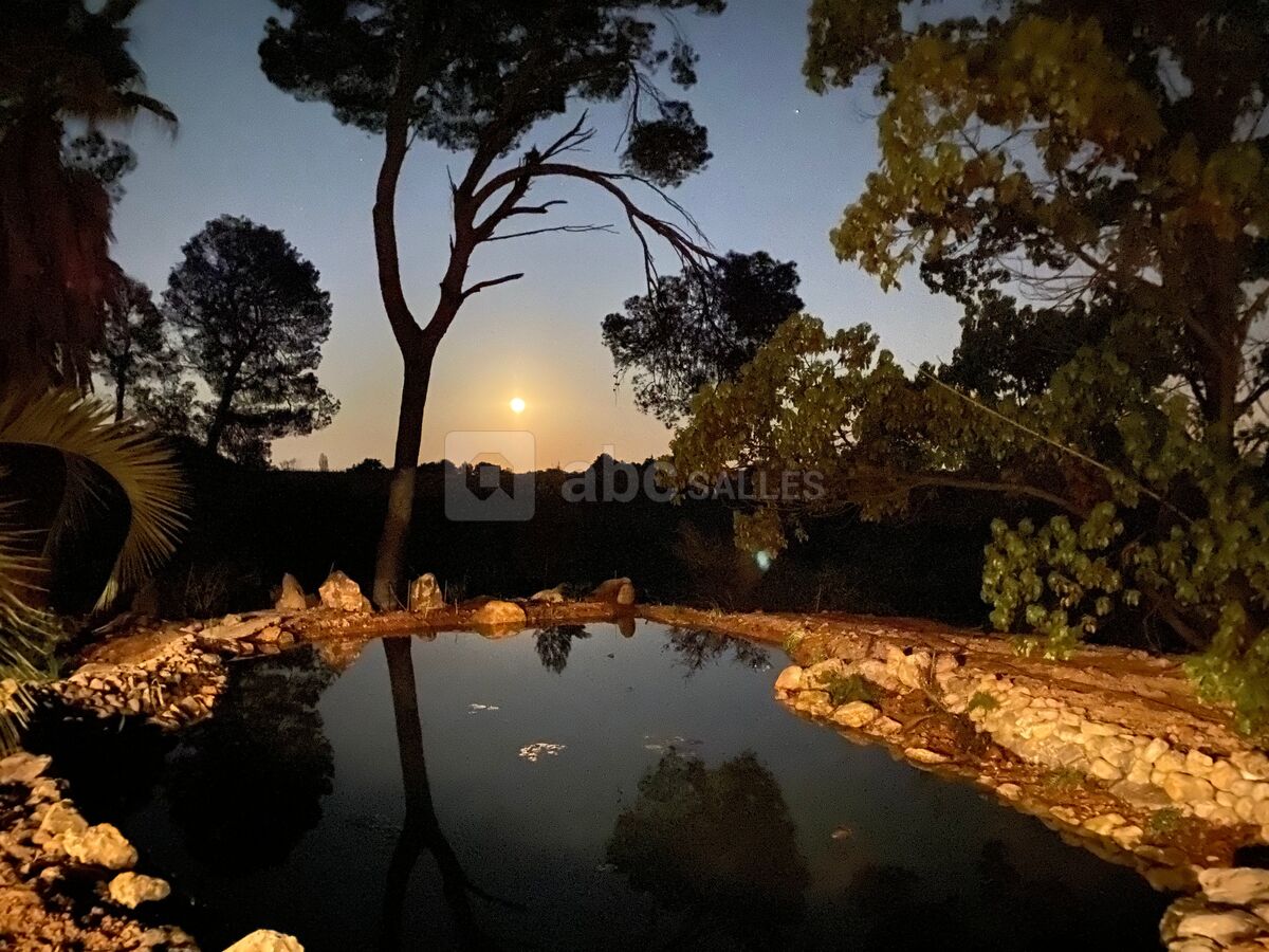 Nuit magique sur le domaine