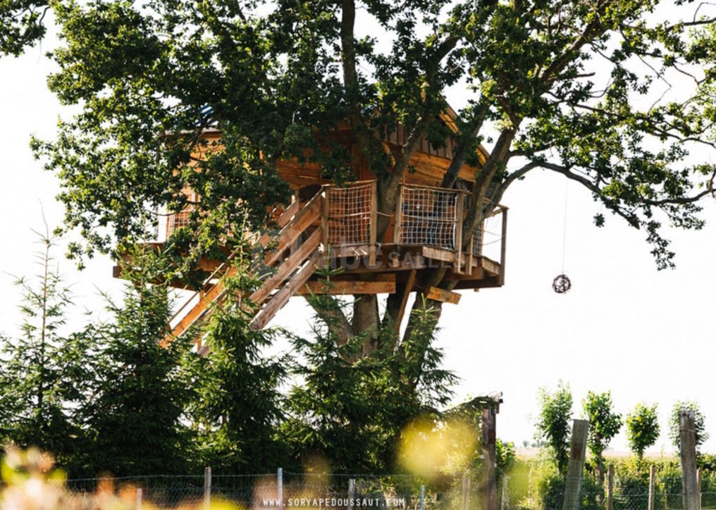 Cabane insolite
