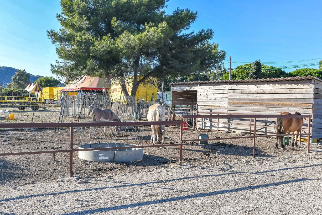 Ballade à poney