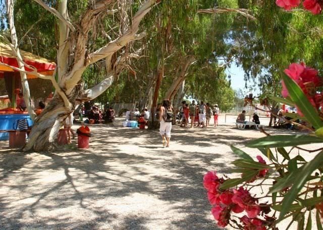 Parc d'attractions