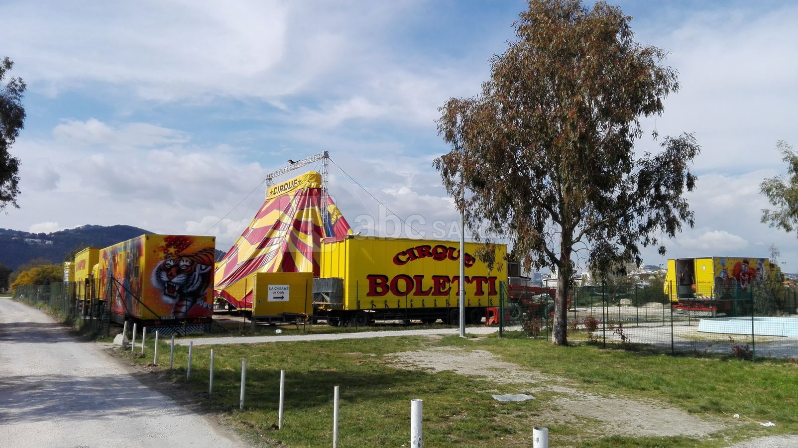 Spectacles de cirque