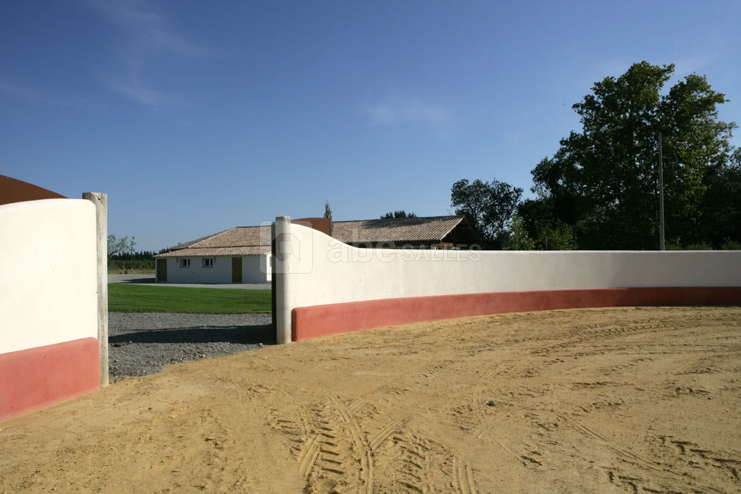 Arenes