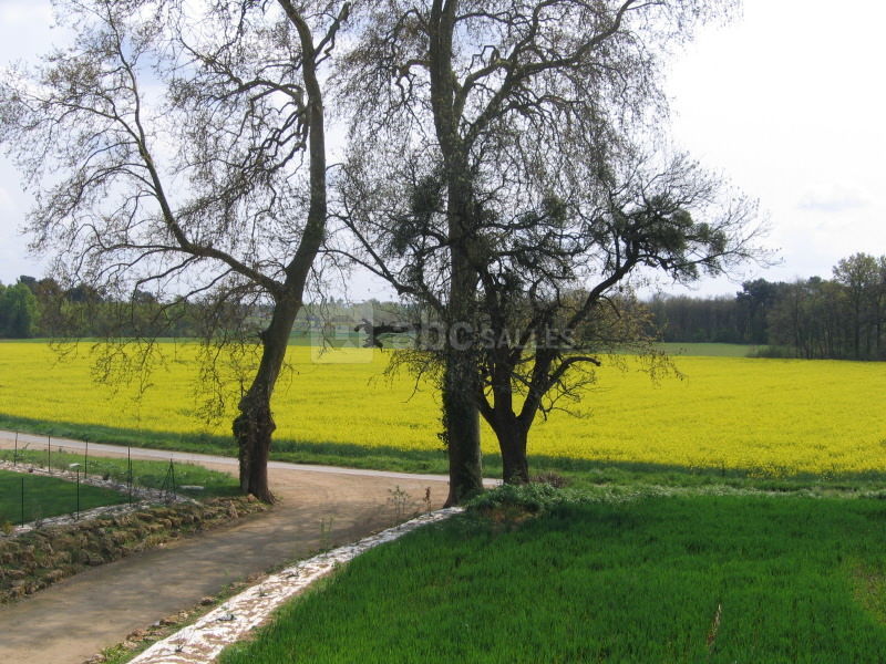 Les Logis de la Rimbertière