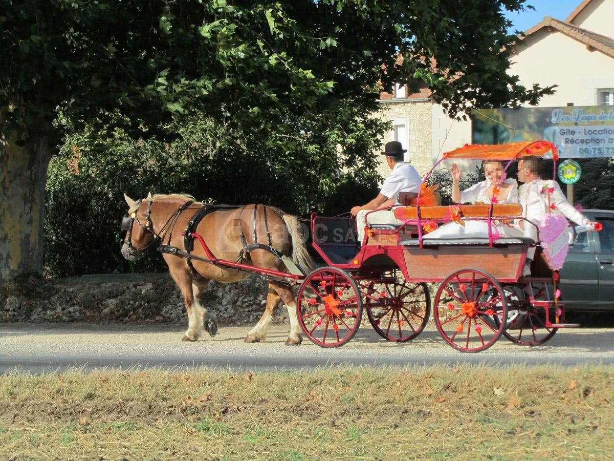 Les mariés arrivent en calèche !!