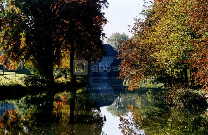 Le cosson et le parc