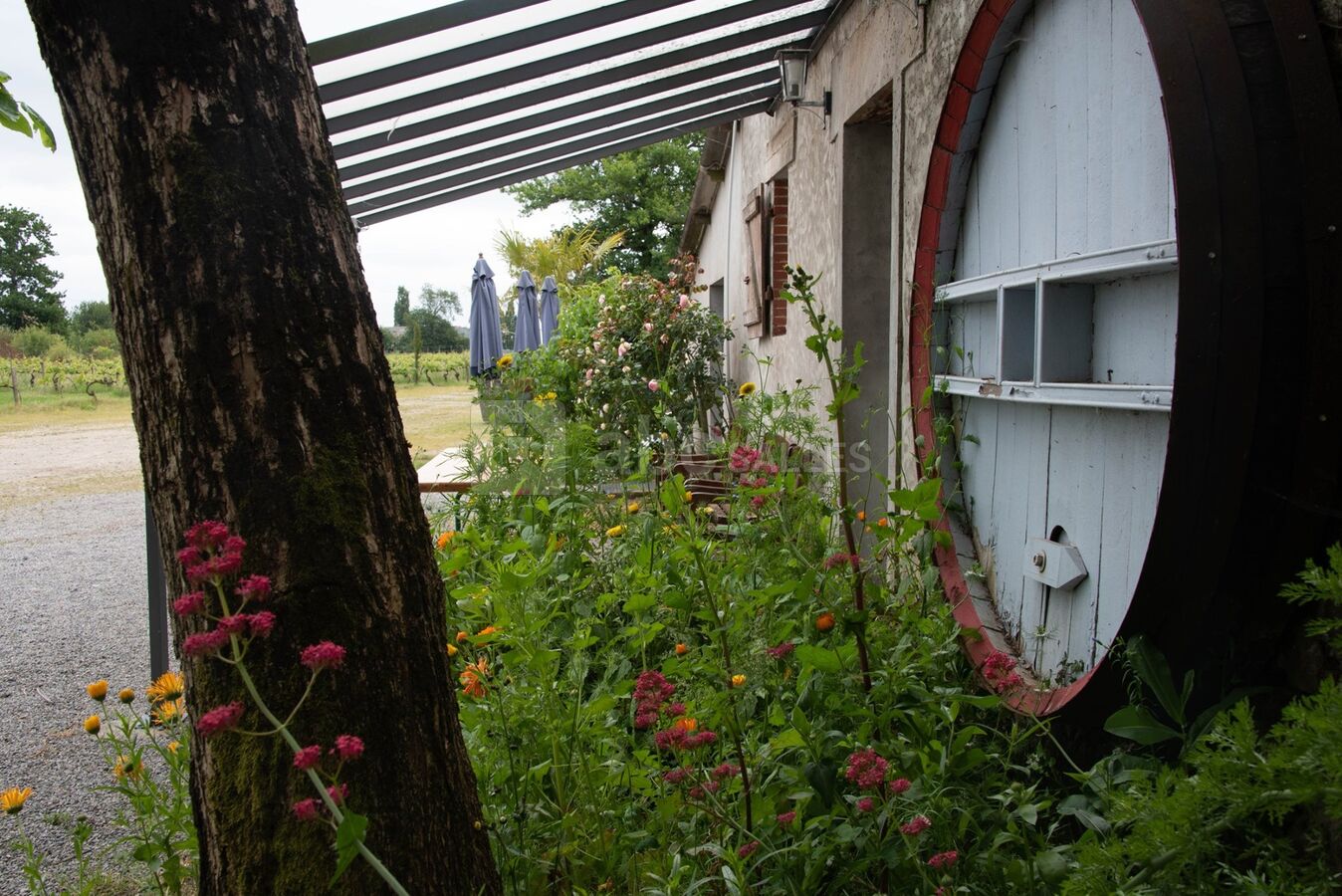 Domaine du Buttay le Chai du Buttay