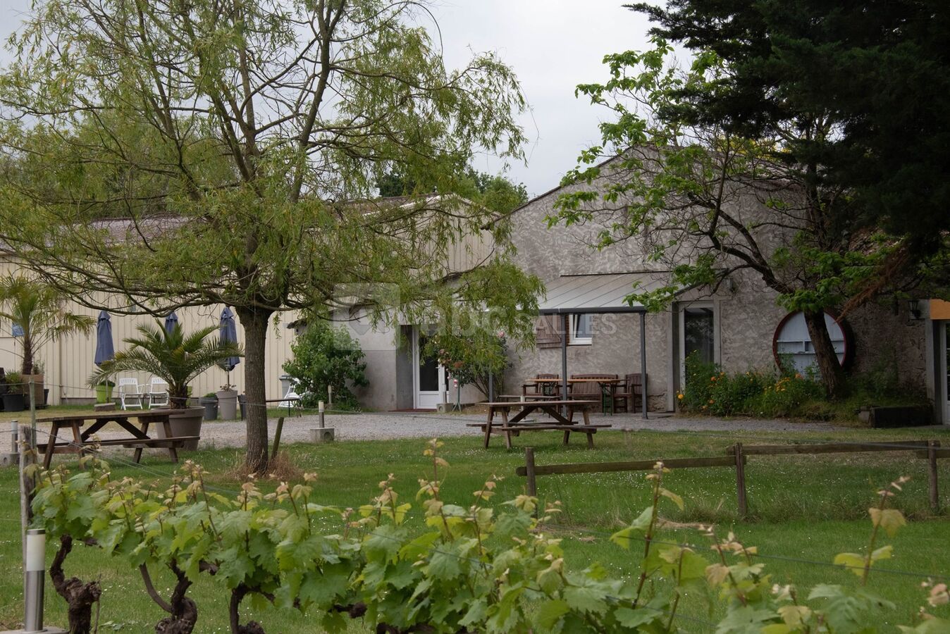 Domaine du Buttay le Chai du Buttay