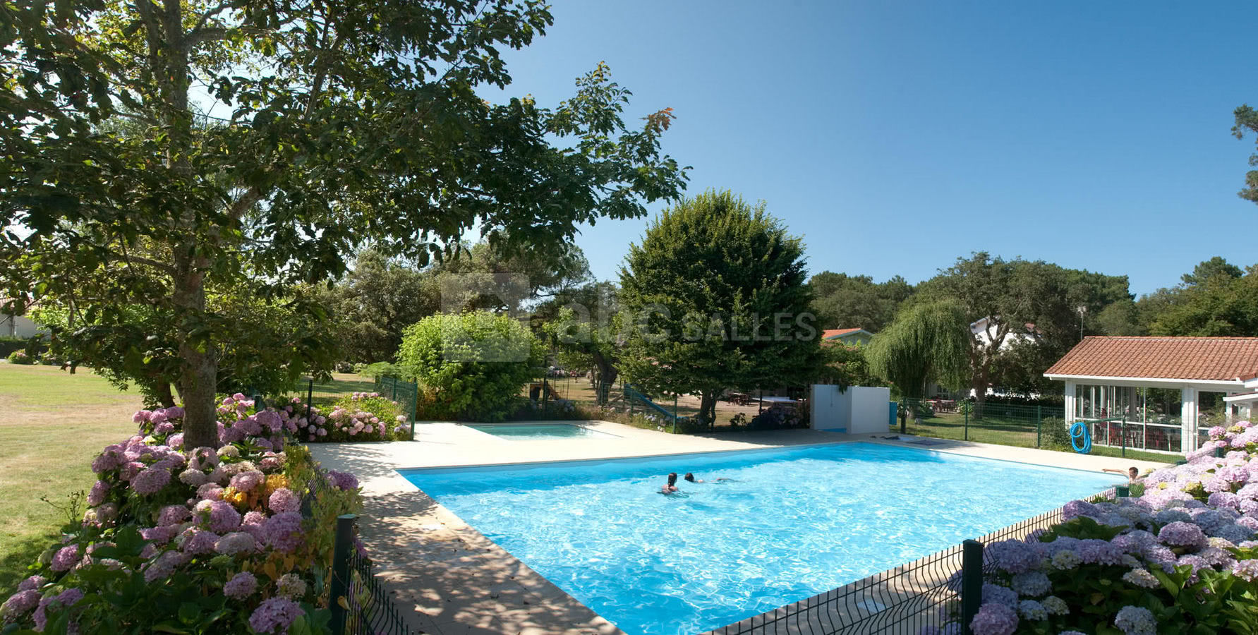 Piscine et parc