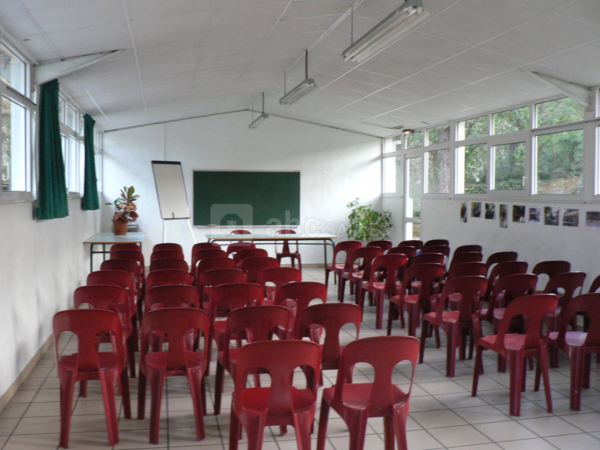 La salle de réunion forêt