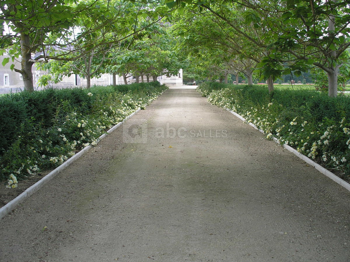 Jardin à la française