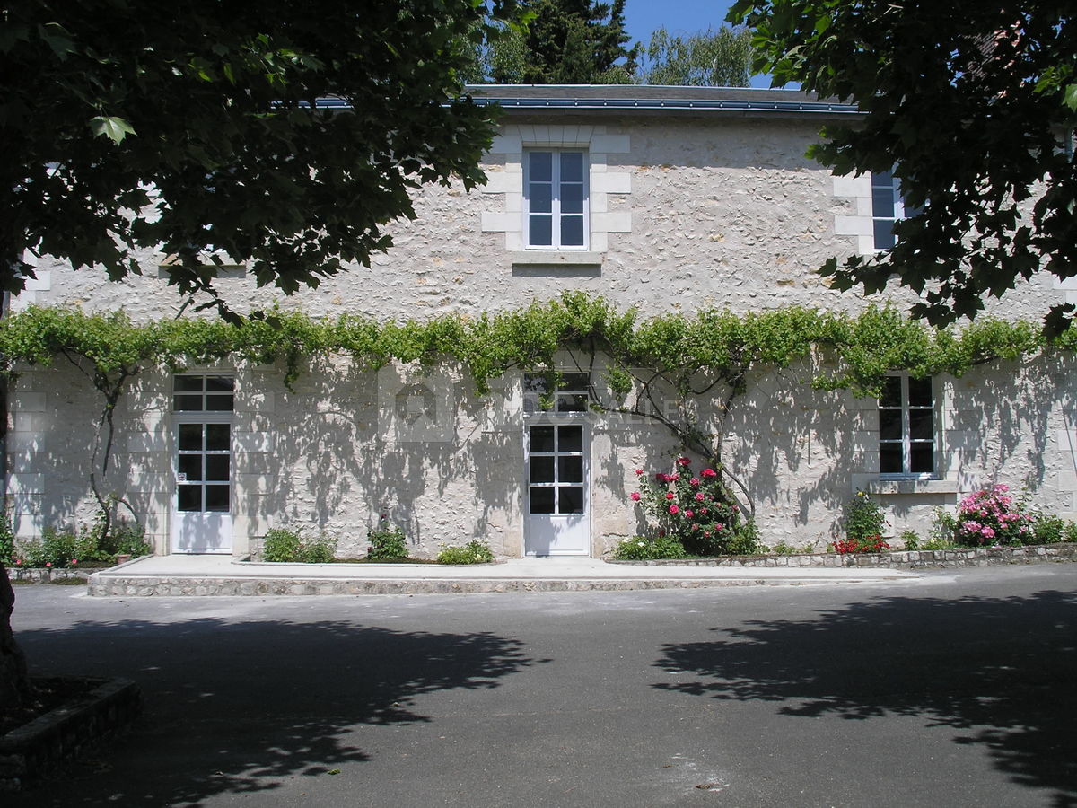 Cour