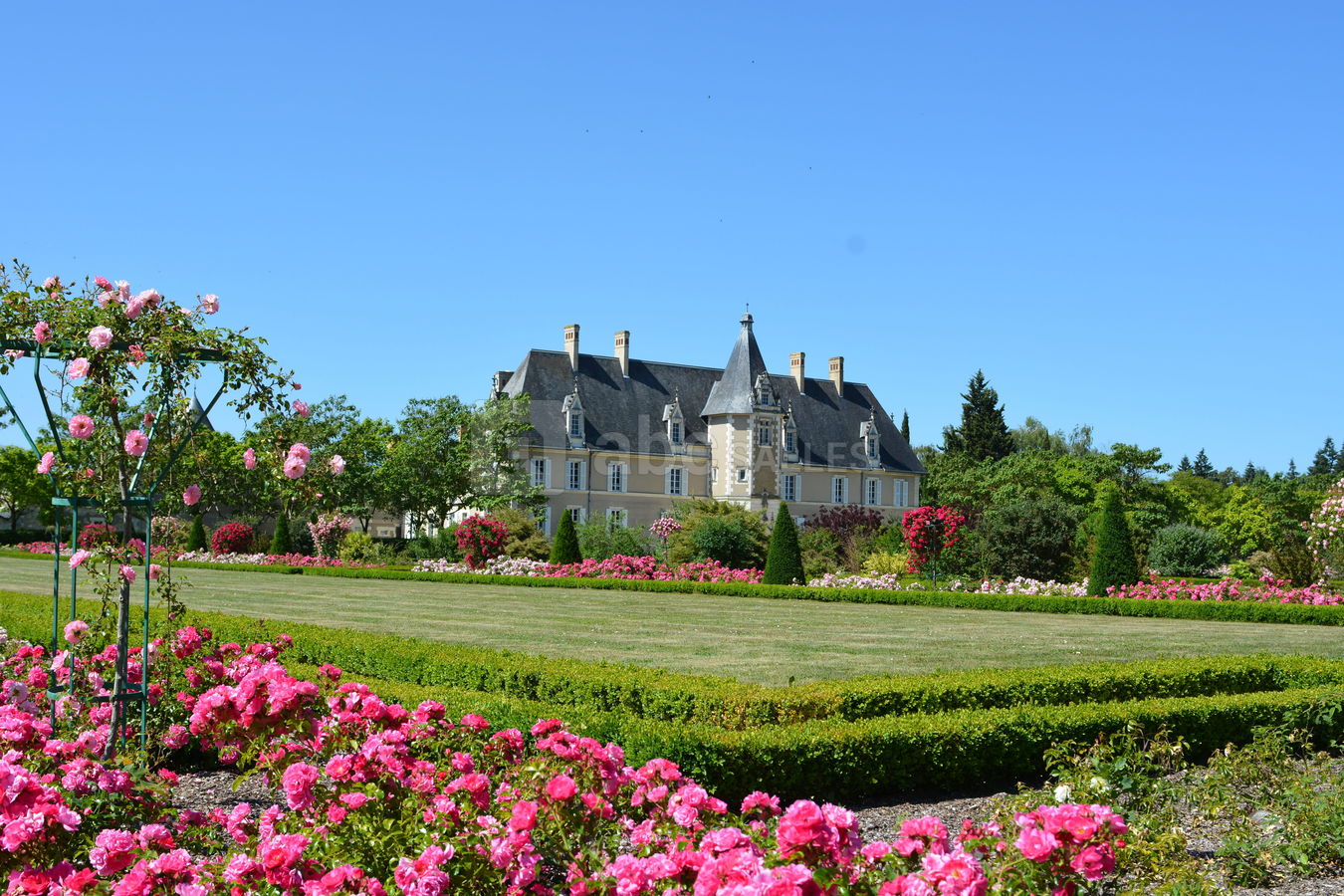 Jardin
