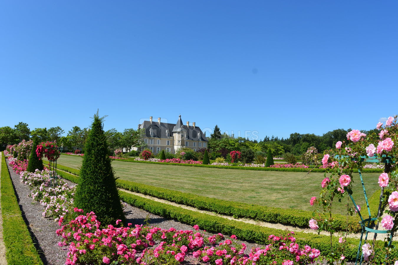 Jardin