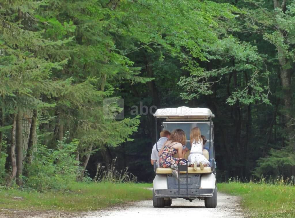 La forêt des princes en golfette
