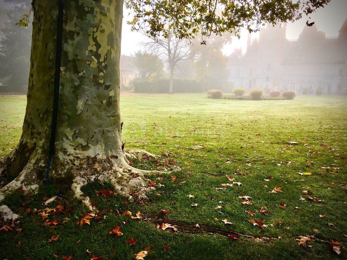 Domaine de Montigny-le-Gannelon