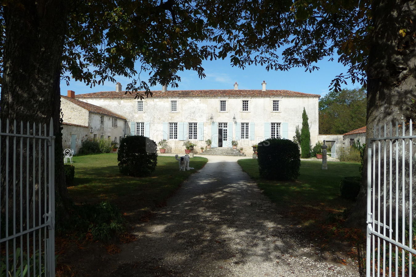 La propriété le bois