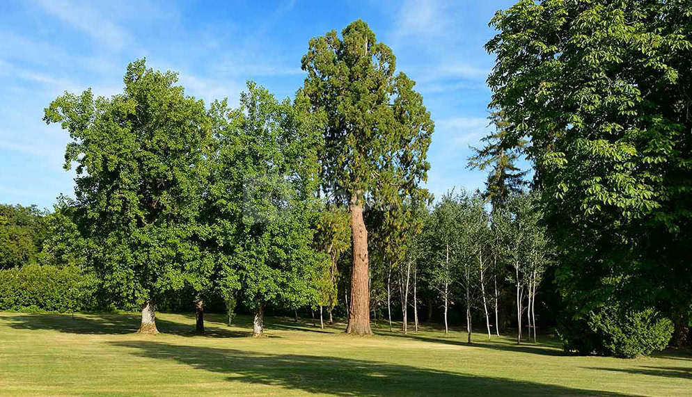 Château Le Mas de Montet
