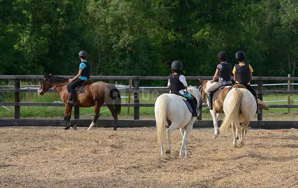 Château Le Mas de Montet