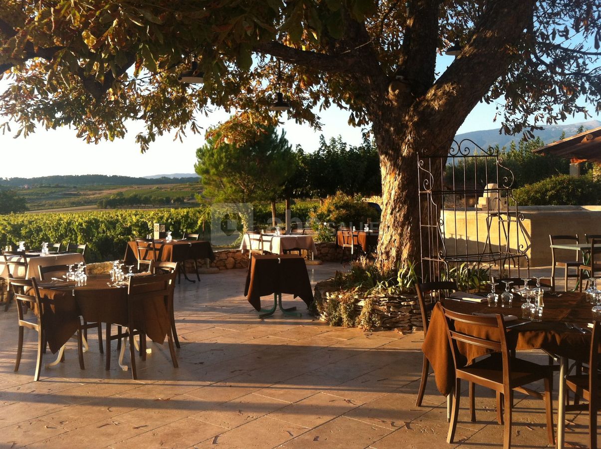 Repas en terrasse extérieure