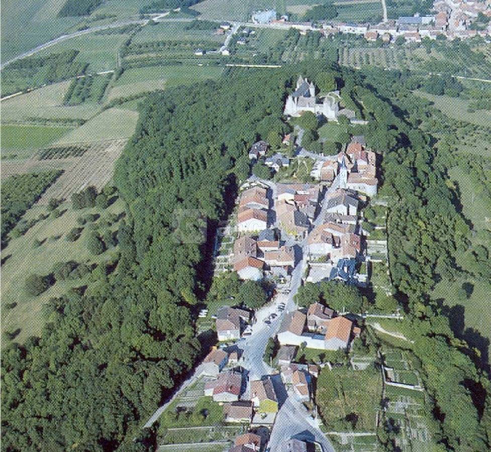 Vue générale
