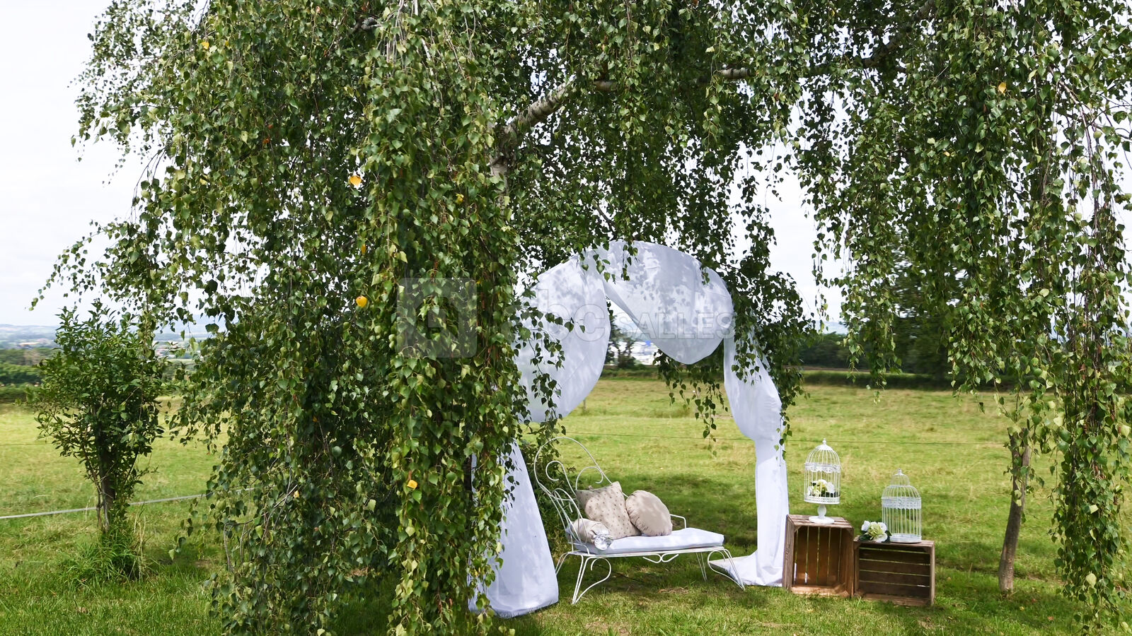 Espace cérémonie verdure et arche en location sur place