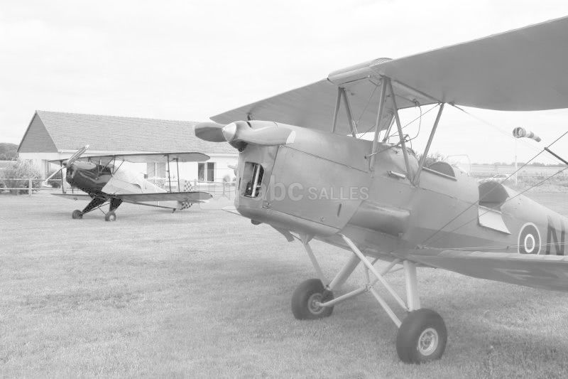 Avions