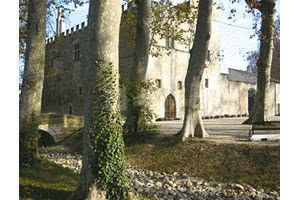 Château de fargues