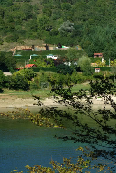 Vue du catalpa depuis l'autre rive du lac