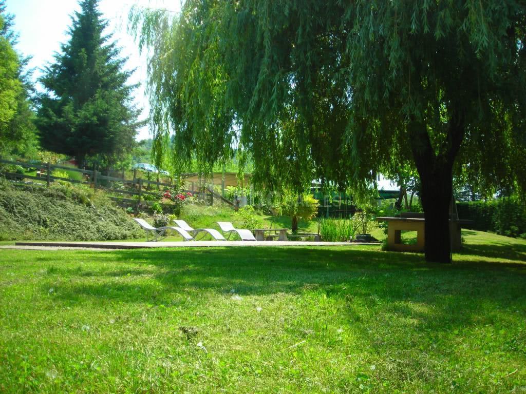 Le parc sous le saule pleureur