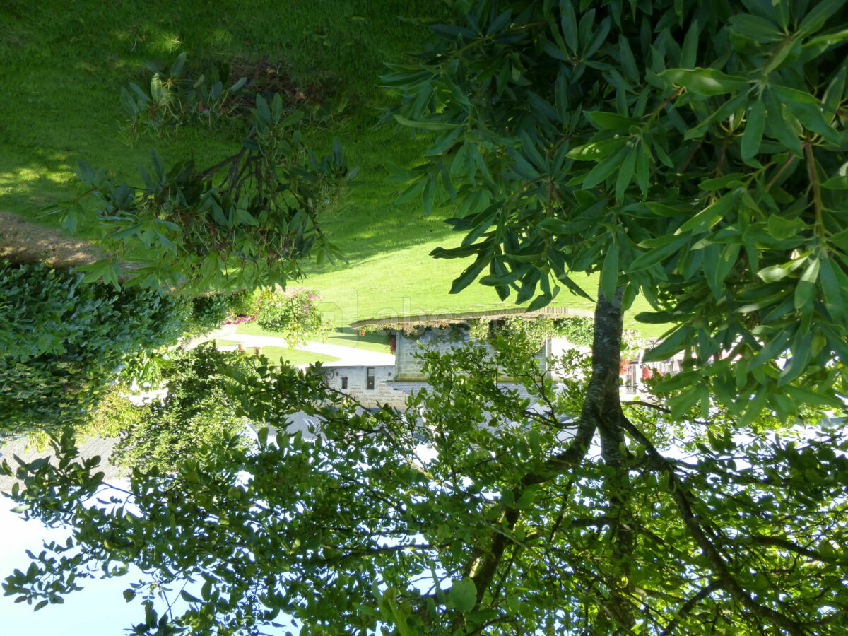 Aperçu du domaine