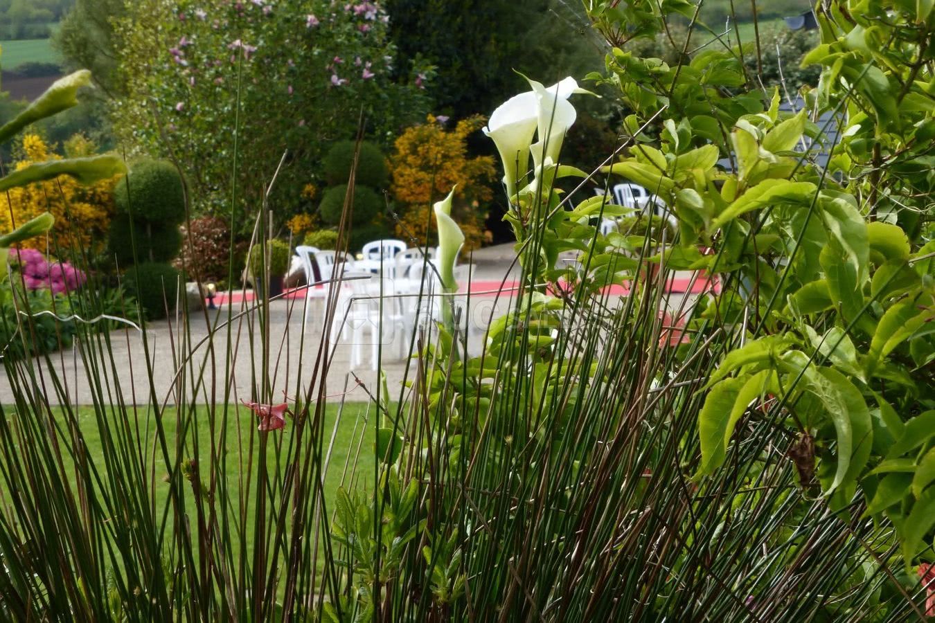 Vue sur terrasse cocktail