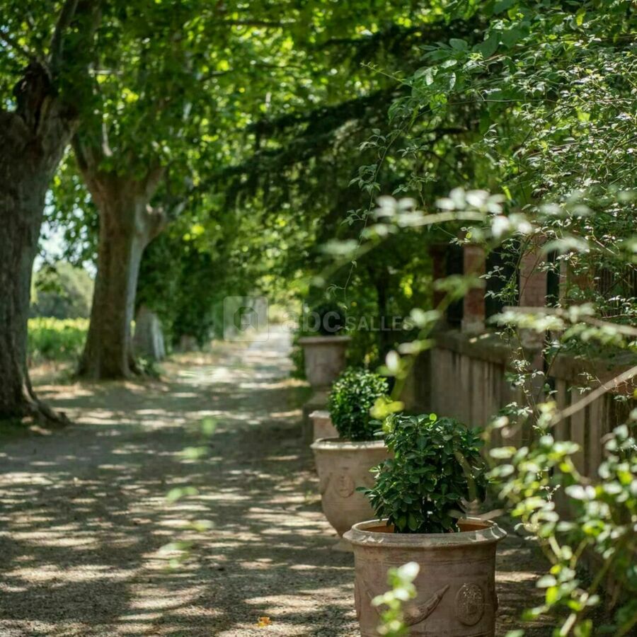 L'allée du domaine