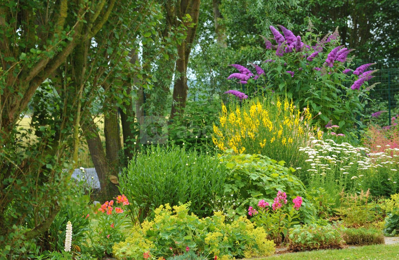 Jardin