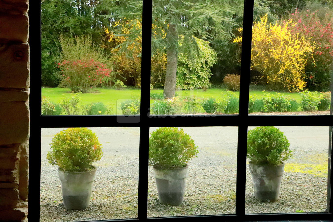 Vue sur le jardin dans la salle en pierres chaulées